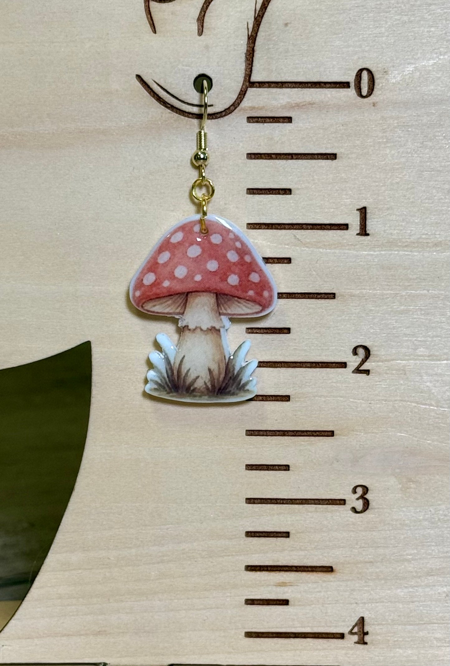 Morel Support